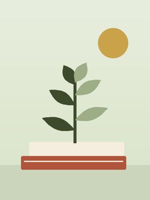 تصنيف تنمية ذاتيّة